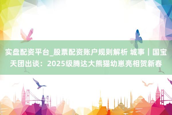 实盘配资平台_股票配资账户规则解析 城事｜国宝天团出谈：2025级腾达大熊猫幼崽亮相贺新春