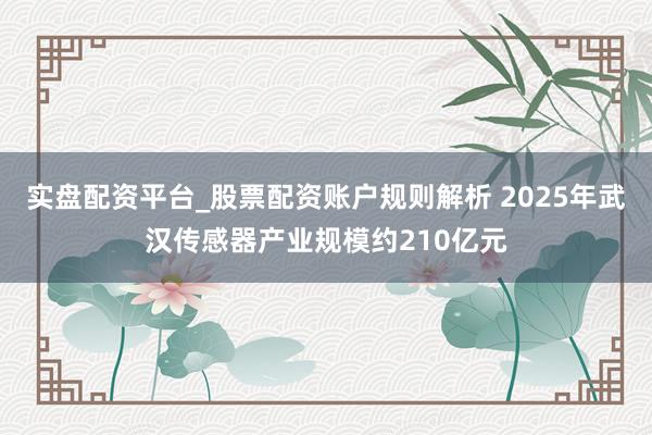 实盘配资平台_股票配资账户规则解析 2025年武汉传感器产业规模约210亿元
