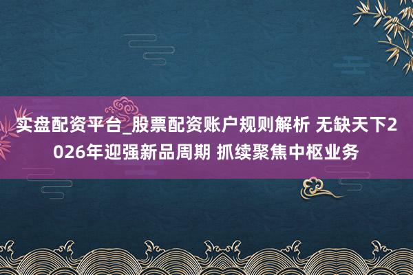 实盘配资平台_股票配资账户规则解析 无缺天下2026年迎强新品周期 抓续聚焦中枢业务
