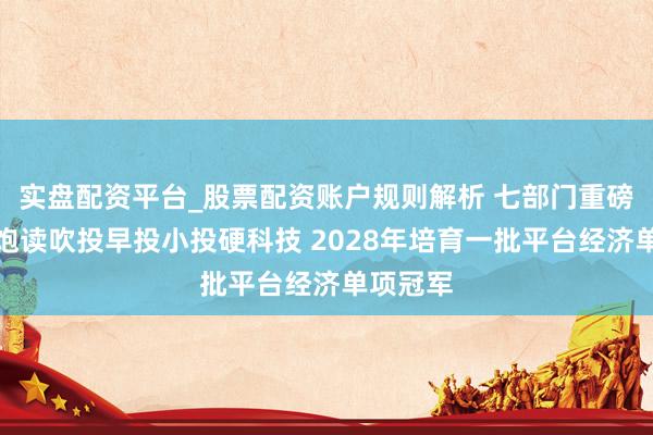 实盘配资平台_股票配资账户规则解析 七部门重磅发文：饱读吹投早投小投硬科技 2028年培育一批平台经济单项冠军